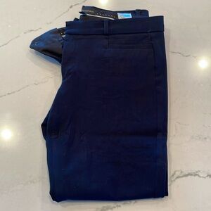 Banana Republic Sloan pants